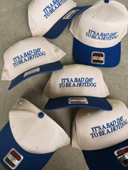 ETTA OG | bad day to be a hotdog trucker hat